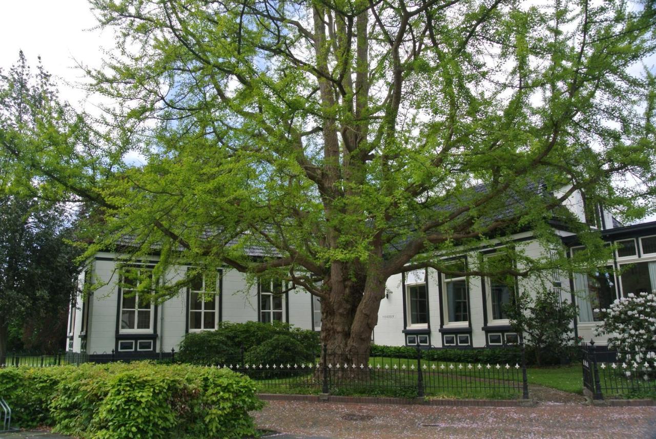 Pastorie Tijdverblijf Zuidhorn エクステリア 写真